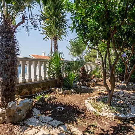 Sea Oasis Apartments - Milosevic Kotor Exterior photo