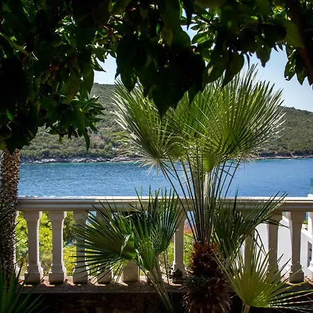 Sea Oasis Apartments - Milosevic Kotor Exterior photo
