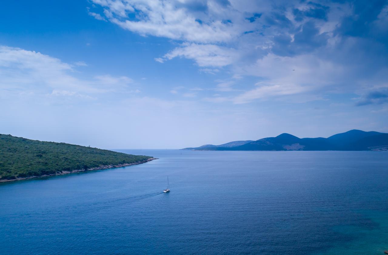 Sea Oasis - Milosevic *