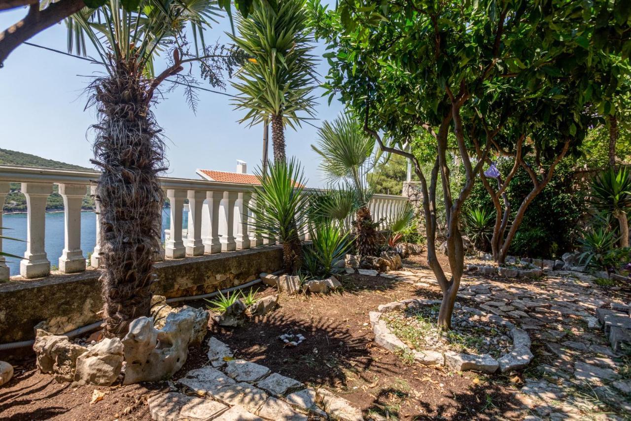 Apartment Sea Oasis - Milosevic Kotor