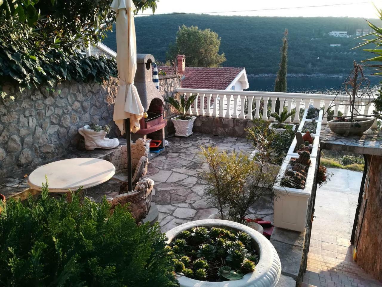 Apartment Sea Oasis - Milosevic Kotor